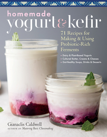 Homemade Yogurt/Kefir